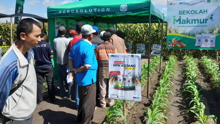 Petani Puas Panen Jagung Meningkat Berkat Program Makmur Pupuk Kujang