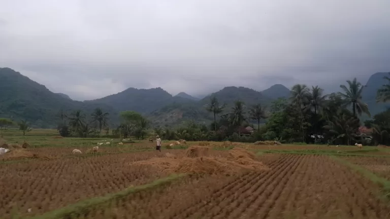 BPBD Karawang Imbau Waspada Cuaca Ekstrem