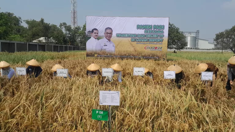 Kementan Klaim Siap Hadapi El Nino, Bupati Cellica Sebut Karawang Masih Aman