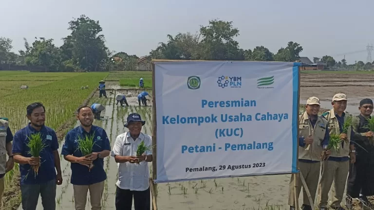 Berkat Program Makmur, Petani Penggarap di Pemalang jadi Berdaya