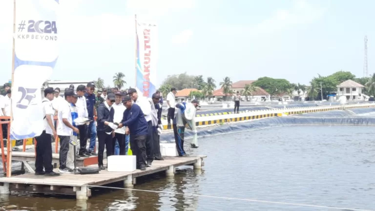 Potensi Moncer Tambak Udang Peninggalan Orde Baru