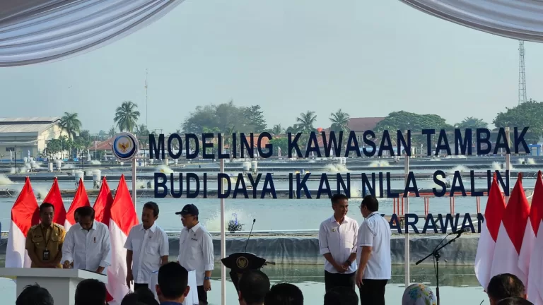 Presiden Jokowi Resmikan Modeling Budidaya Ikan Nila Salin