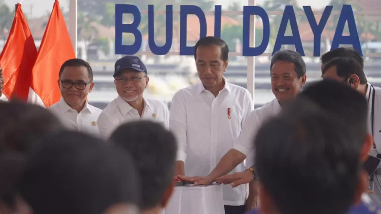 Jokowi Bidik Pangsa Pasar Global Nila Salin