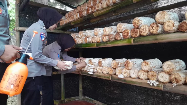 Jamur Krispi di Pos “Leuit” Polres Karawang