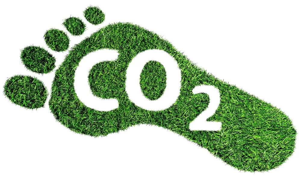 Tepatkah Penerapan Carbon Footprint dalam Construction Procurement untuk tahun 2025?