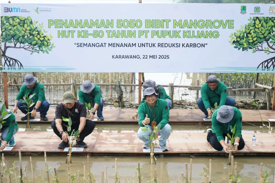 Penanaman Mangrove, bagian dari program Tangkar Bagja PT Pupuk Kujang, Kamis (22/5/2025).