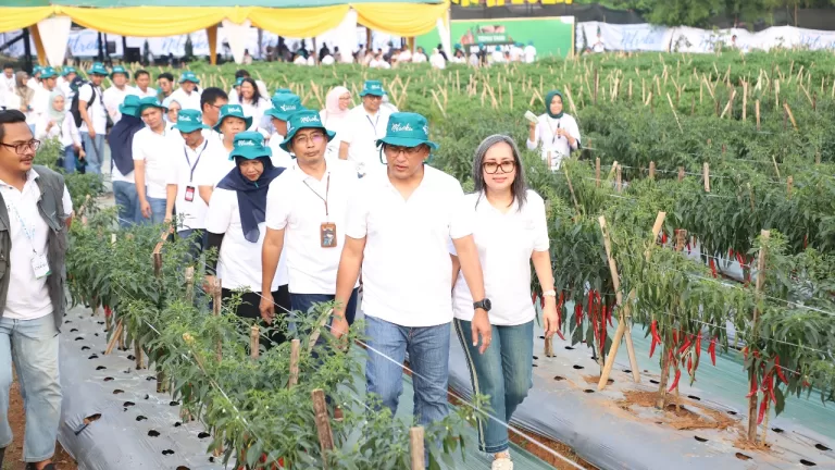 PT Pupuk Kujang Kenalkan Formula Baru Pupuk NPK Nitrat Pertama di Indonesia