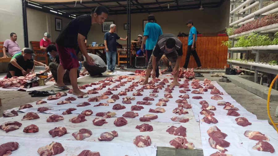 Penyembelihan dan penyalurkan daging kurban PWI Karawang, Sabtu (7/6/2025).