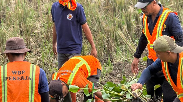 Saat Warga Binaan Asimilasi Lapas Karawang Bersihkan Eceng Gondok di Anggadita