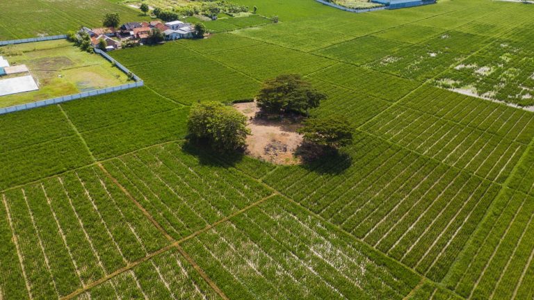 Dari Gedung Juang hingga Situs Lemah Duwur Wadon Ditetapkan Jadi agar Budaya Peringkat Kabupaten Karawang