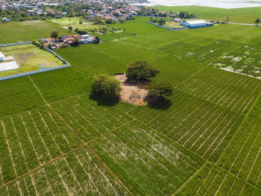 Situs Lemah Duwur Wadon atau Candi Cibuaya II yang ditetapkan sebagai cagar budaya peringkat Kabupaten Karawang. Foto Dokumentasi Tim Ahli Cagar Budaya Karawang.