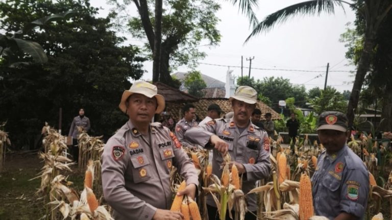 Polres Karawang Pertegas Komitmen Dukung Swasembada Pangan Lewat Panen Raya Jagung