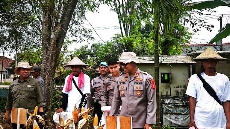 Polres Karawang Gelar Panen Raya Jagung, Perkuat Program Swasembada Pangan Nasional