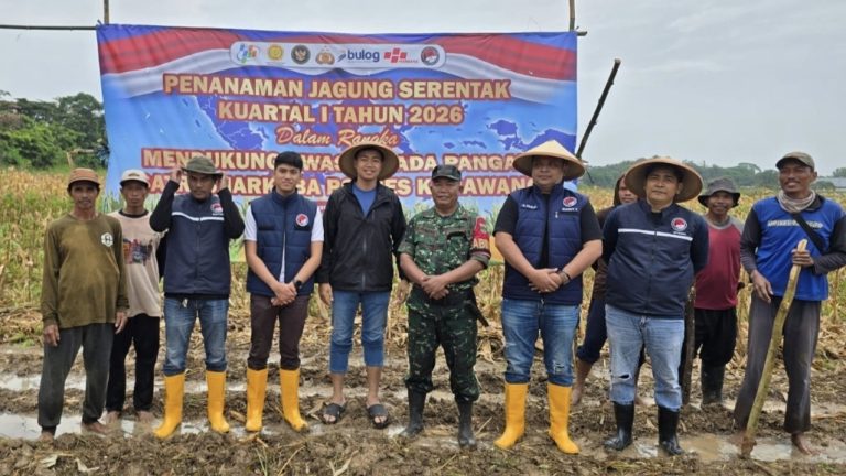 Bentuk Dukungan Polsek Klari Terhadap Program Swasembada Pangan Nasional, Personil Cek Pertumbuhan Tanaman Jagung