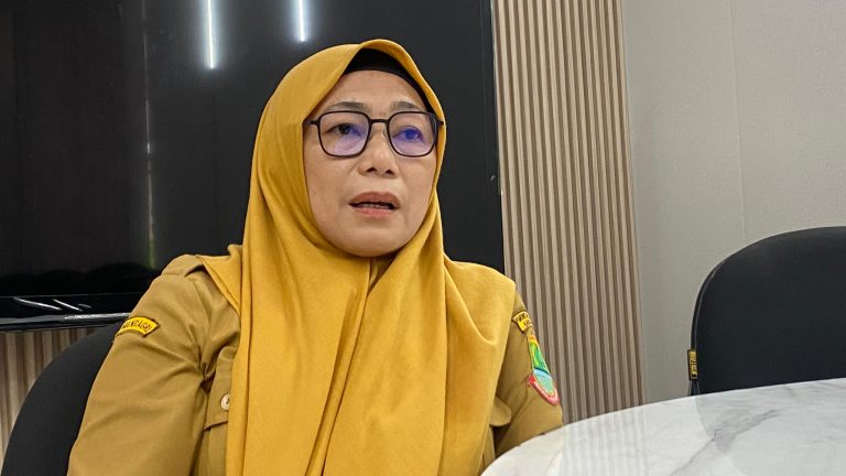 149 Ribu Lamaran Masuk pada Job Fair Online Karawang