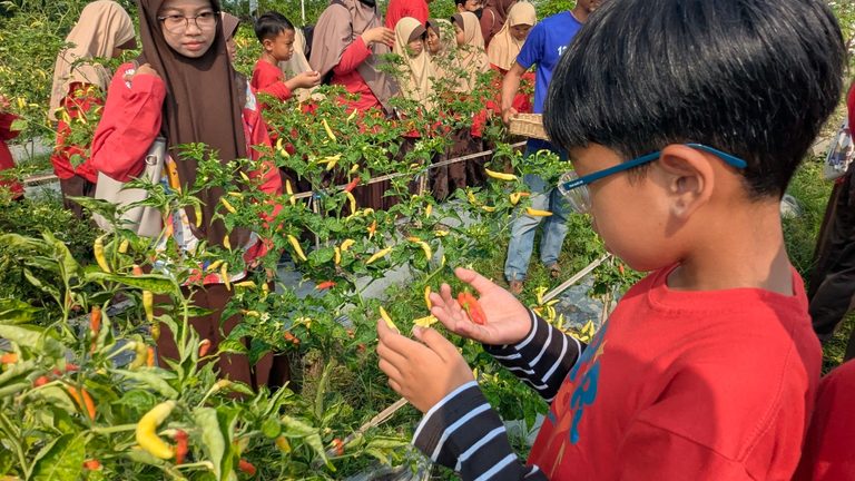 Mengenal Ketahanan Pangan Sejak Dini, Lapas Kelas IIA Karawang Sukses Gelar Edu Trip SD IT Al Mumtaaz